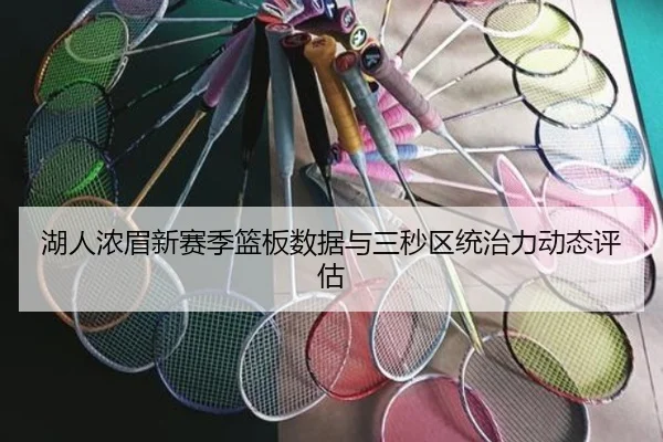 湖人浓眉新赛季篮板数据与三秒区统治力动态评估